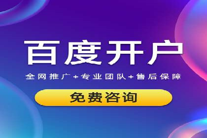 某公司网站sem托管项目纪实